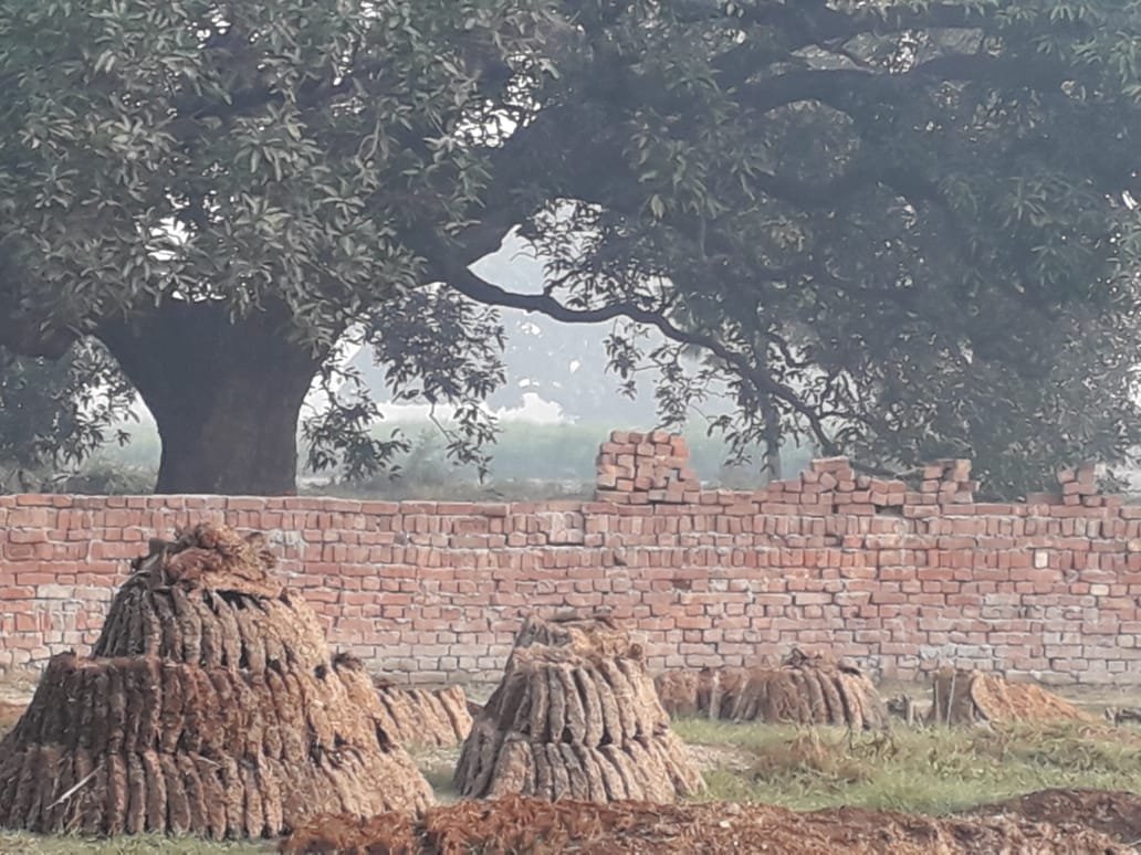 हिंदी समाचार |भाजपा मंडल अध्यक्ष बताने वाला...