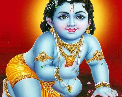हिंदी समाचार |श्रीकृष्ण के बरही पर मटकी फोड़...