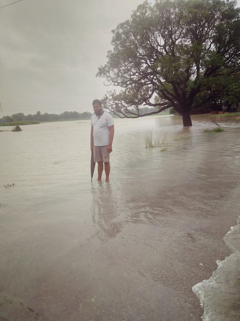 हिंदी समाचार |लगातार हो रही मूसलाधार बारिश...