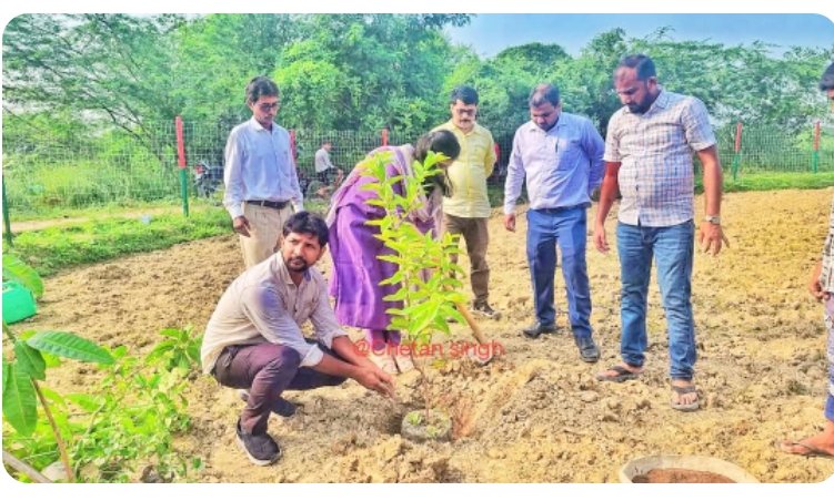 हिंदी समाचार |अमृत वाटिका अभियान के तहत 500...