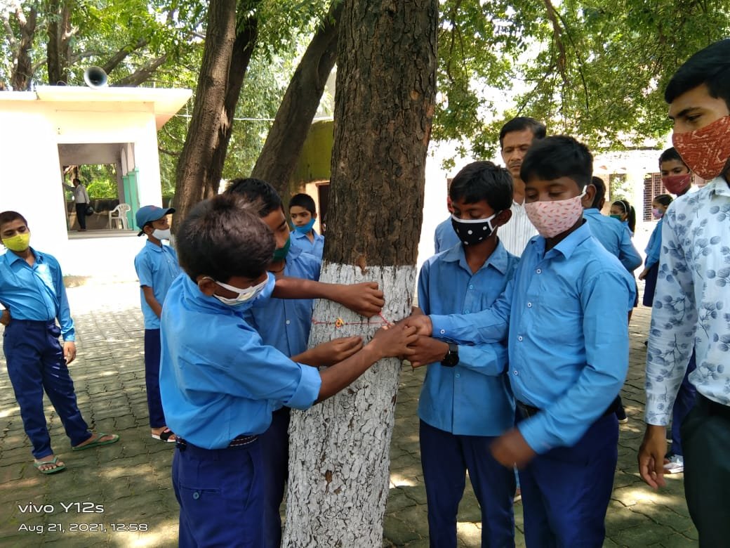 हिंदी समाचार |पेड़-पौधों को बचाने हेतु...