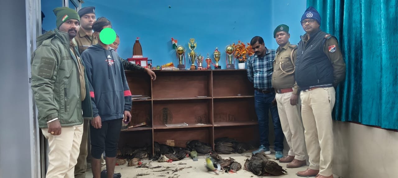 हिंदी समाचार |रेलवे पुलिस मोर तितिर एवं...