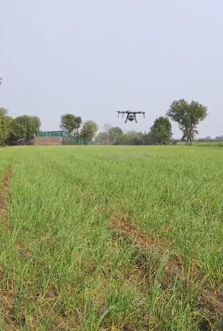 हिंदी समाचार |राजगढ़ के खेतों में 'ड्रोन...
