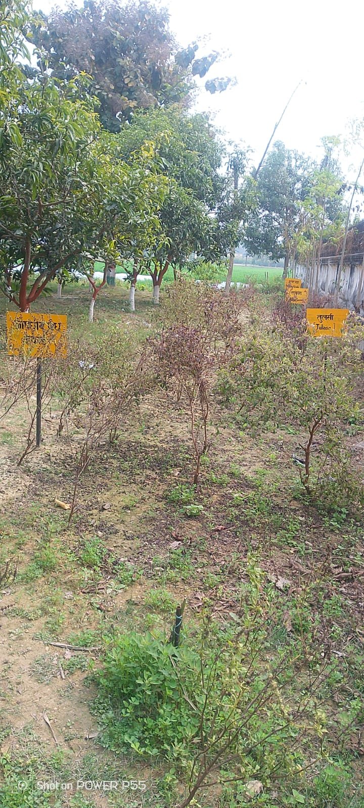 हिंदी समाचार | कृषि विज्ञान केंद्र कोटवा के...