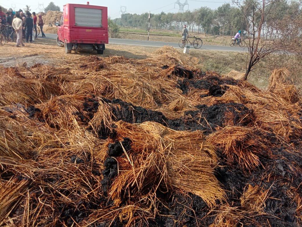 हिंदी समाचार |आग लगने से दो एकड़ धान की फसल...