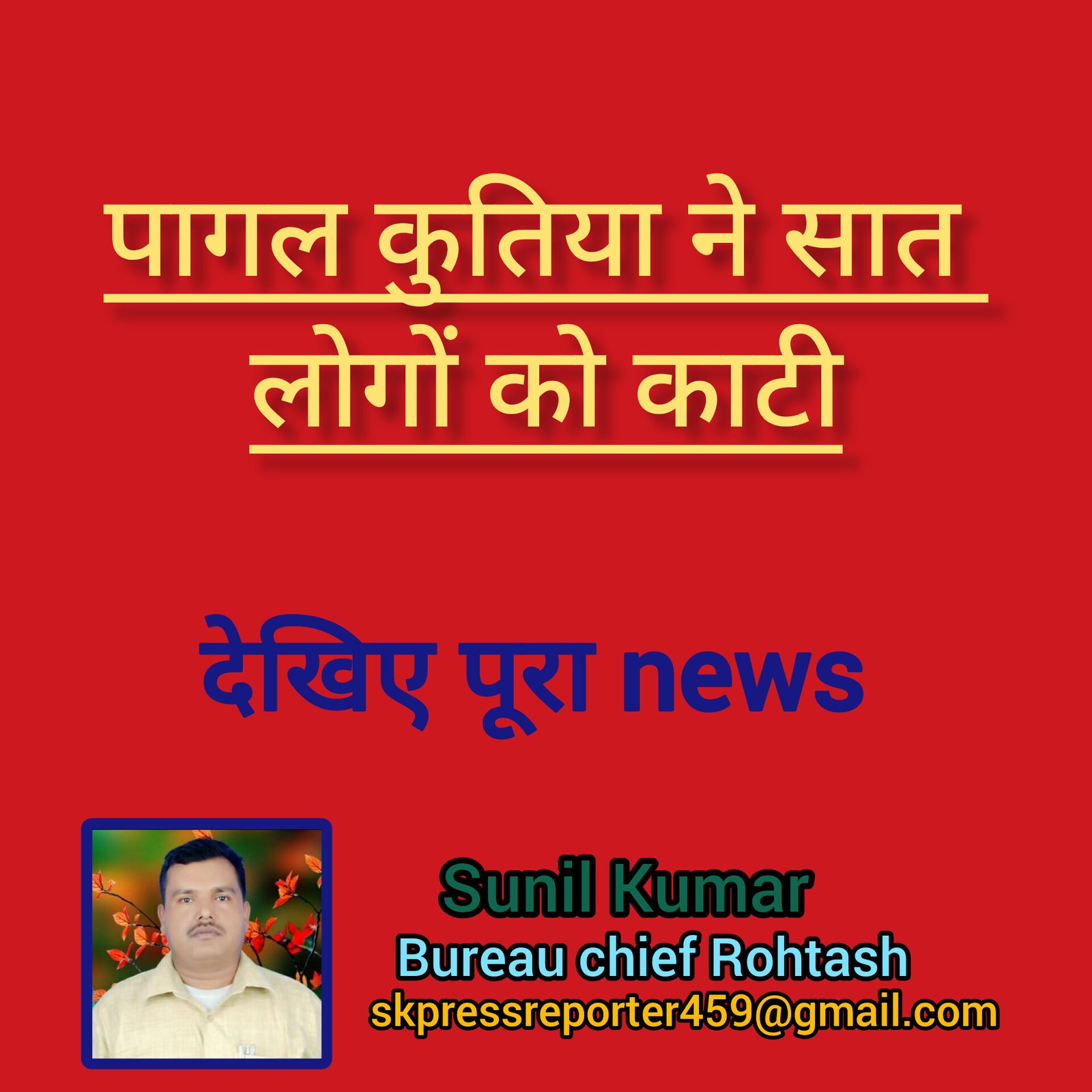 हिंदी समाचार |पागल कुतिया ने सात लोगों को...