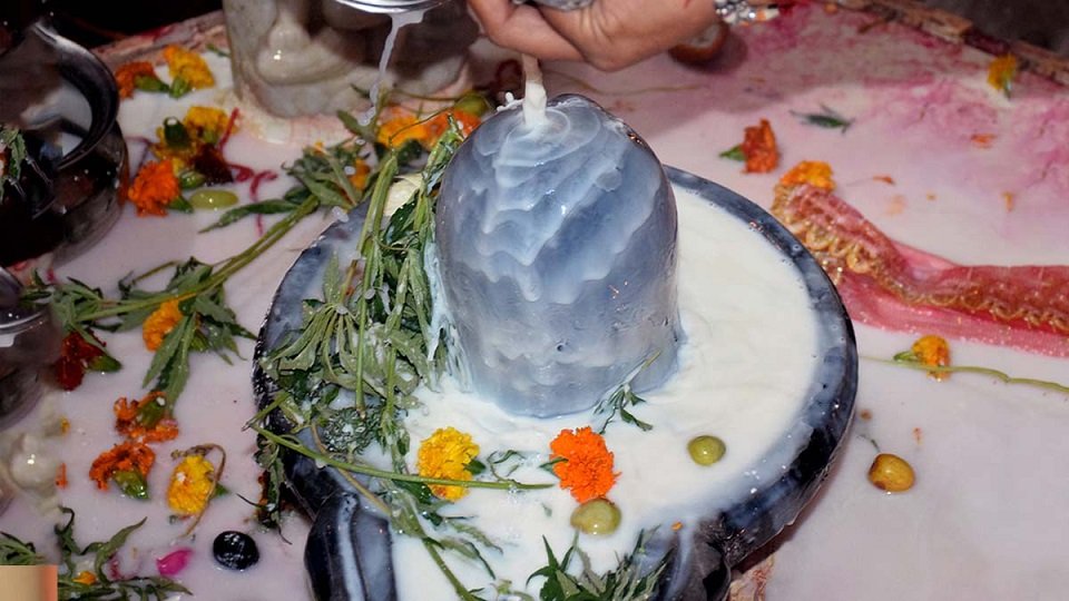 हिंदी समाचार |भाजपा नेता दिनेश दुबे द्वारा...