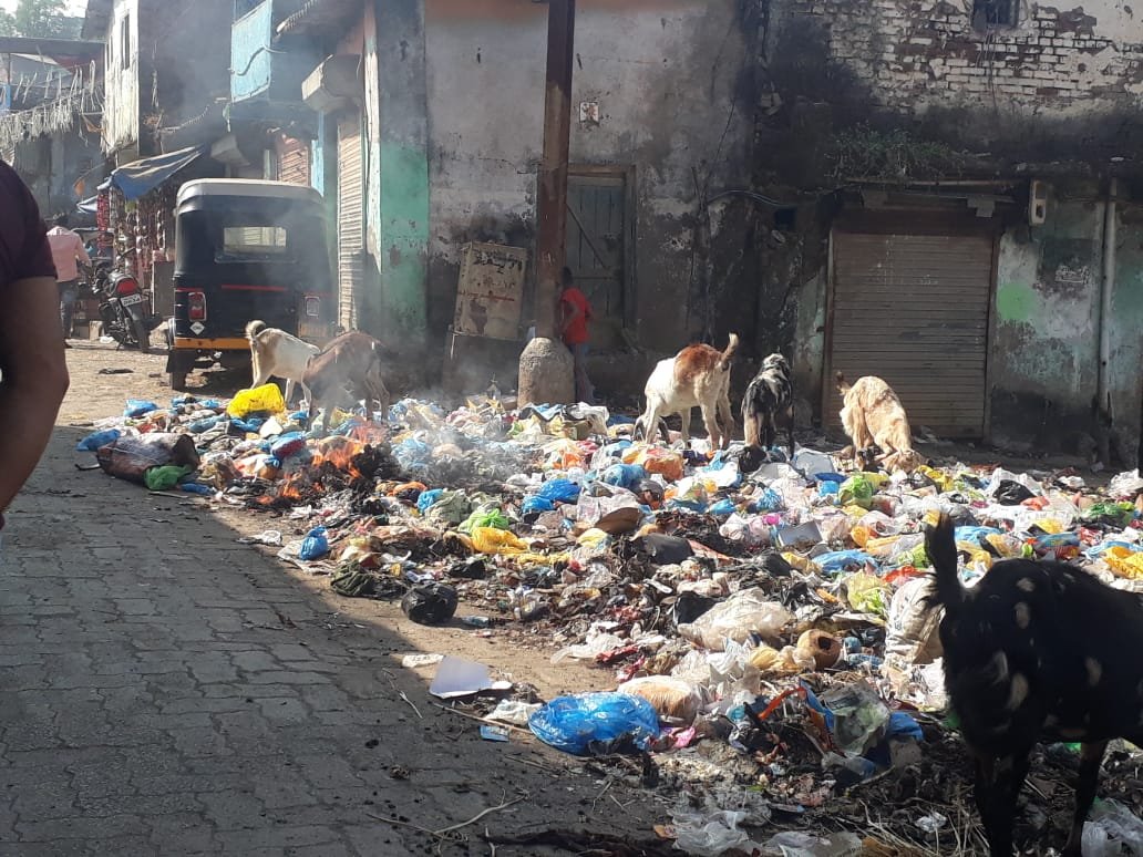 हिंदी समाचार |कचरे के ढेर में आग लगाकर किया...