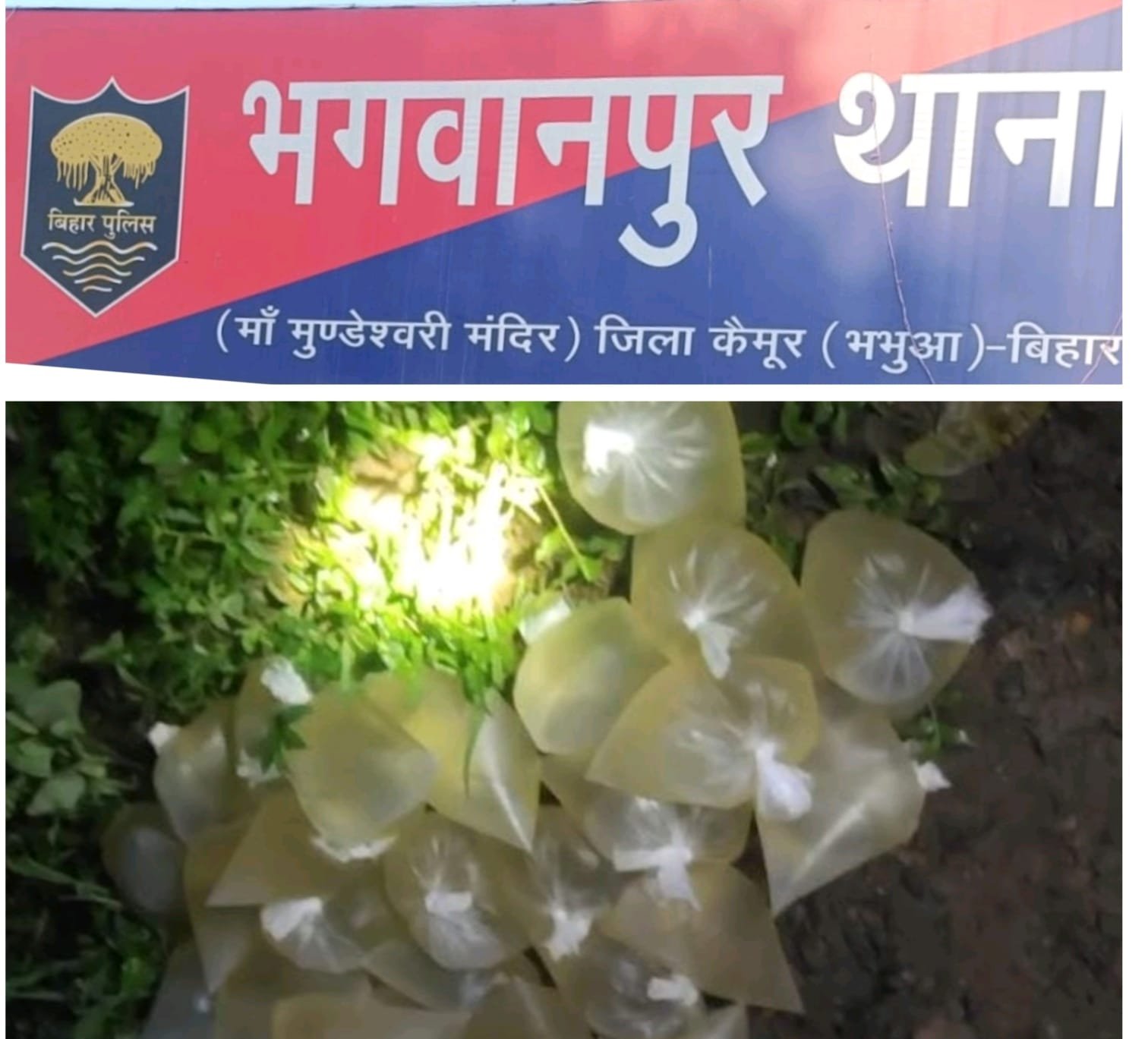 हिंदी समाचार | भगवानपुर थाना के रामगढ़ में...