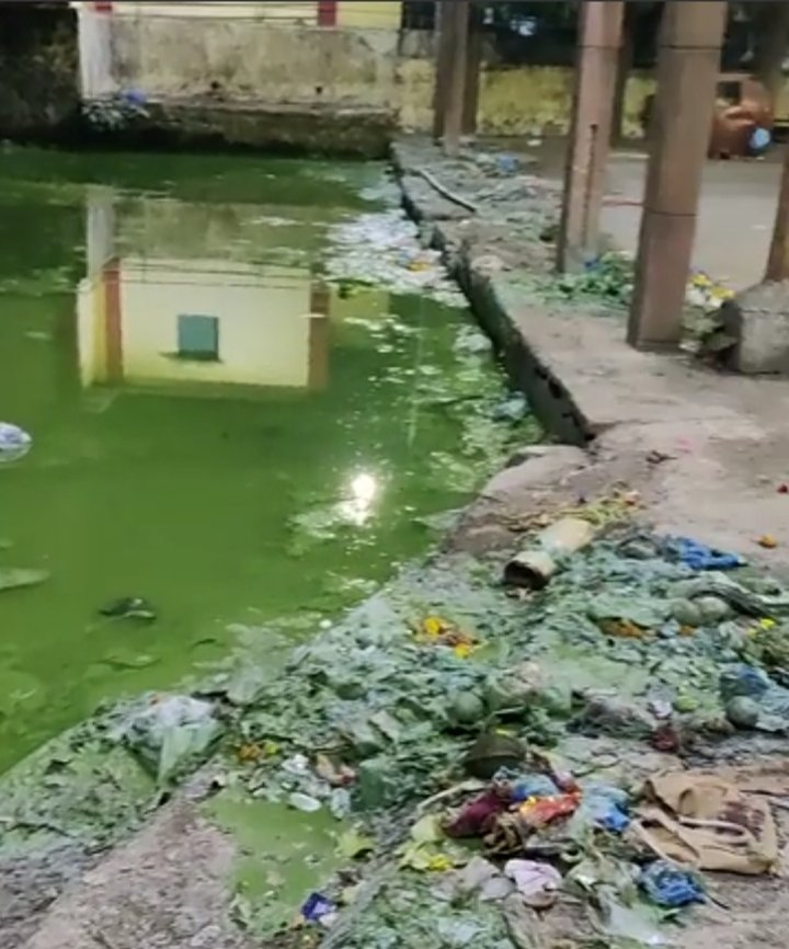 हिंदी समाचार |वाडाला तालाब का पानी हुआ हरा आ...