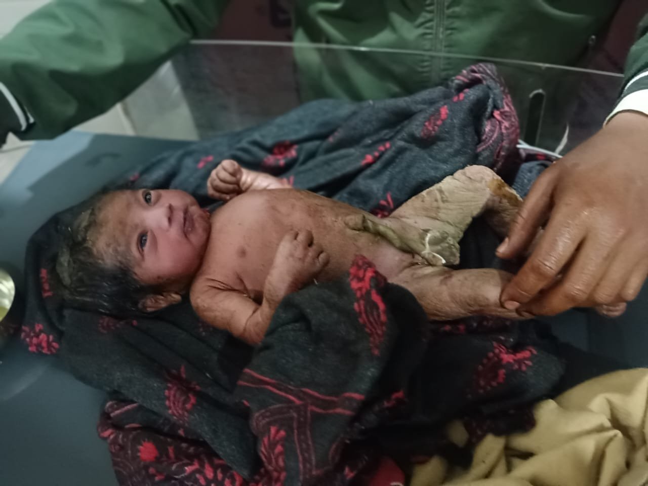 हिंदी समाचार |गेहूं के खेत में मिला लावारिस...