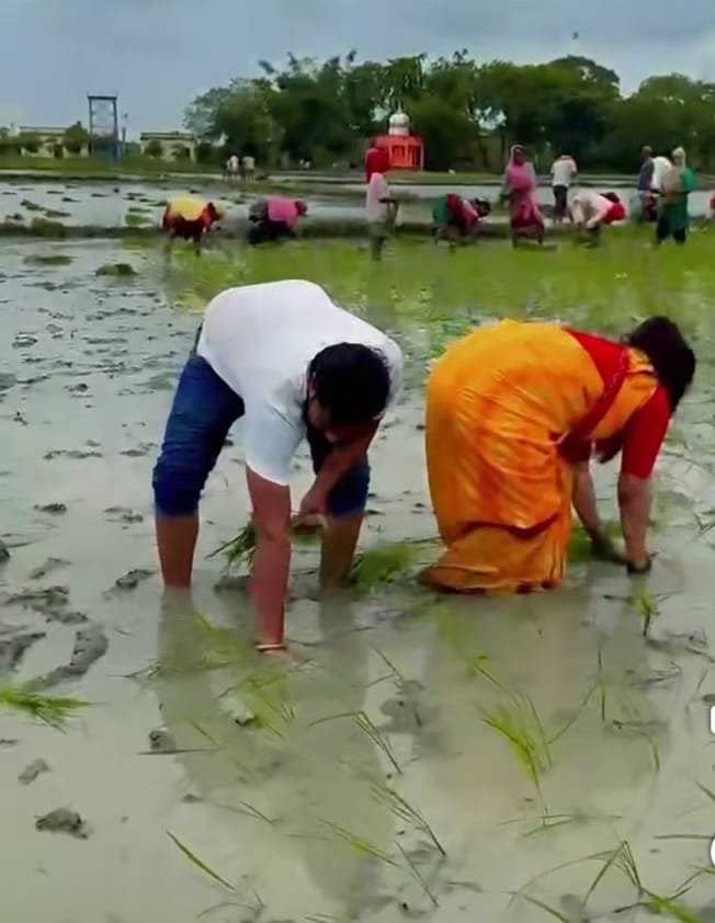 हिंदी समाचार | डेहरी में 2 दिन की झमाझम बारिश...