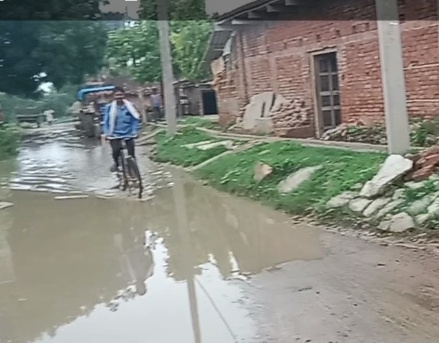 हिंदी समाचार |सड़क बना जलाशय लगा कीचड़ का...