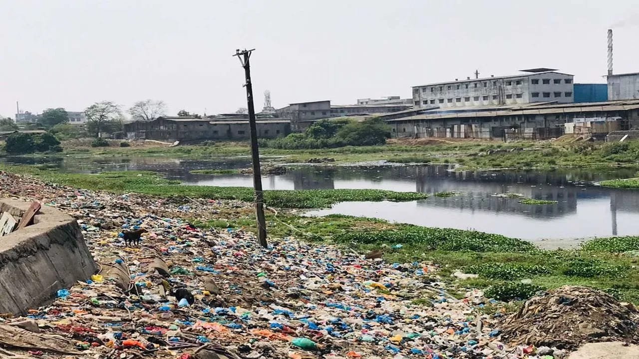 हिंदी समाचार |'खाड़ी' को 'नदी' बताकर उगाही का...