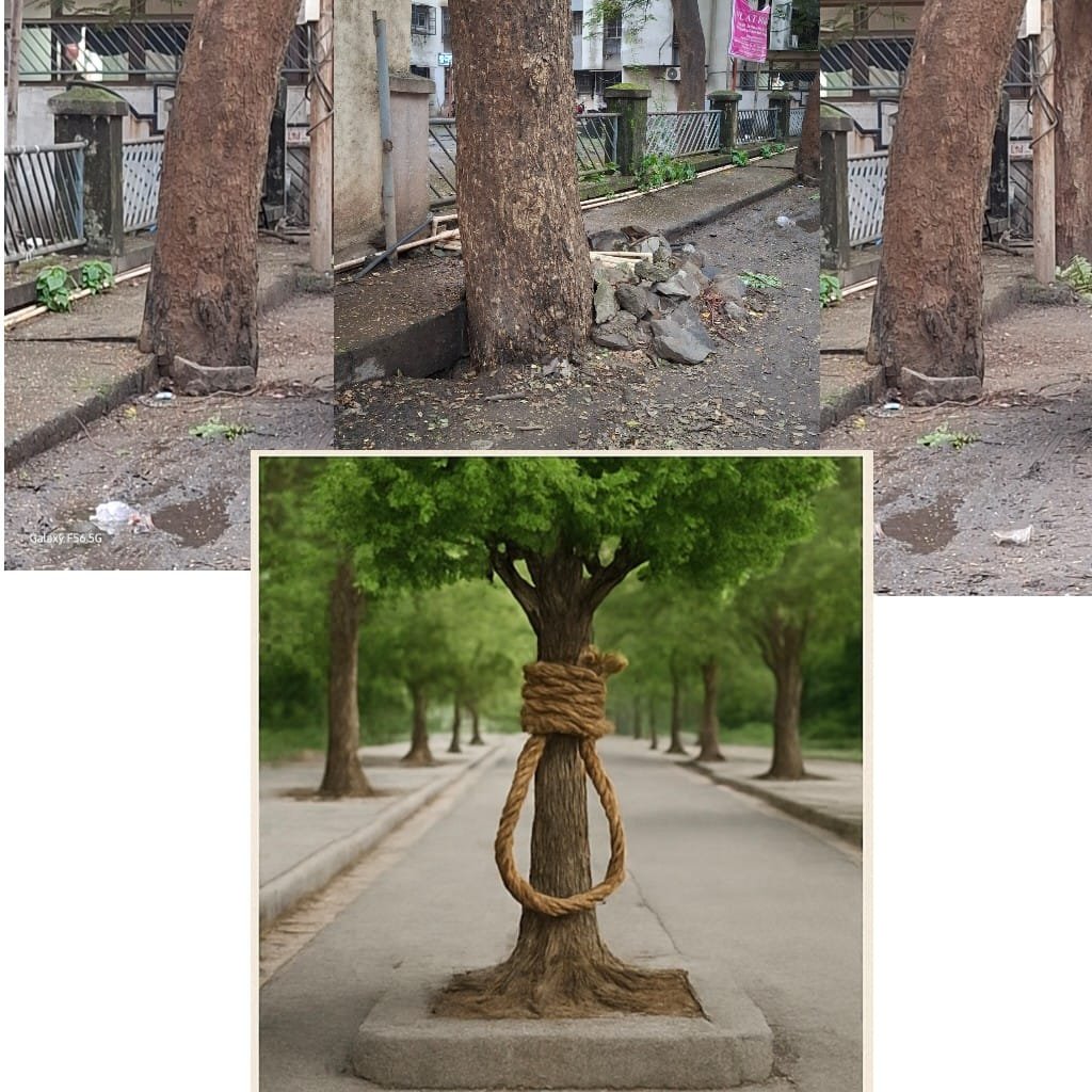 हिंदी समाचार | 