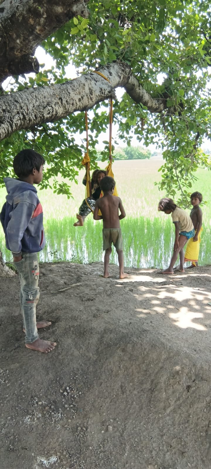 हिंदी समाचार | आज भी जीवित है परंपरा, नन्हे...