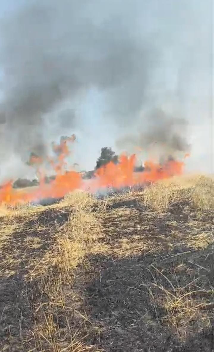 हिंदी समाचार | विद्युत विभाग की लापरवाही से...