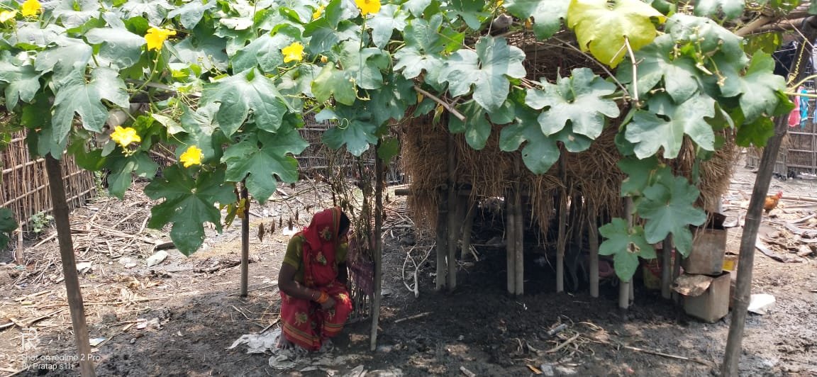 हिंदी समाचार |वंचितों के चेहरों पर मुस्कान...