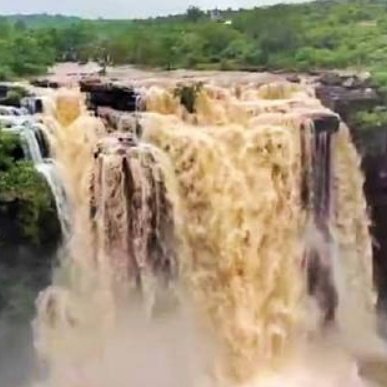 हिंदी समाचार |भारी बारिश से झरने उफान पर  ...