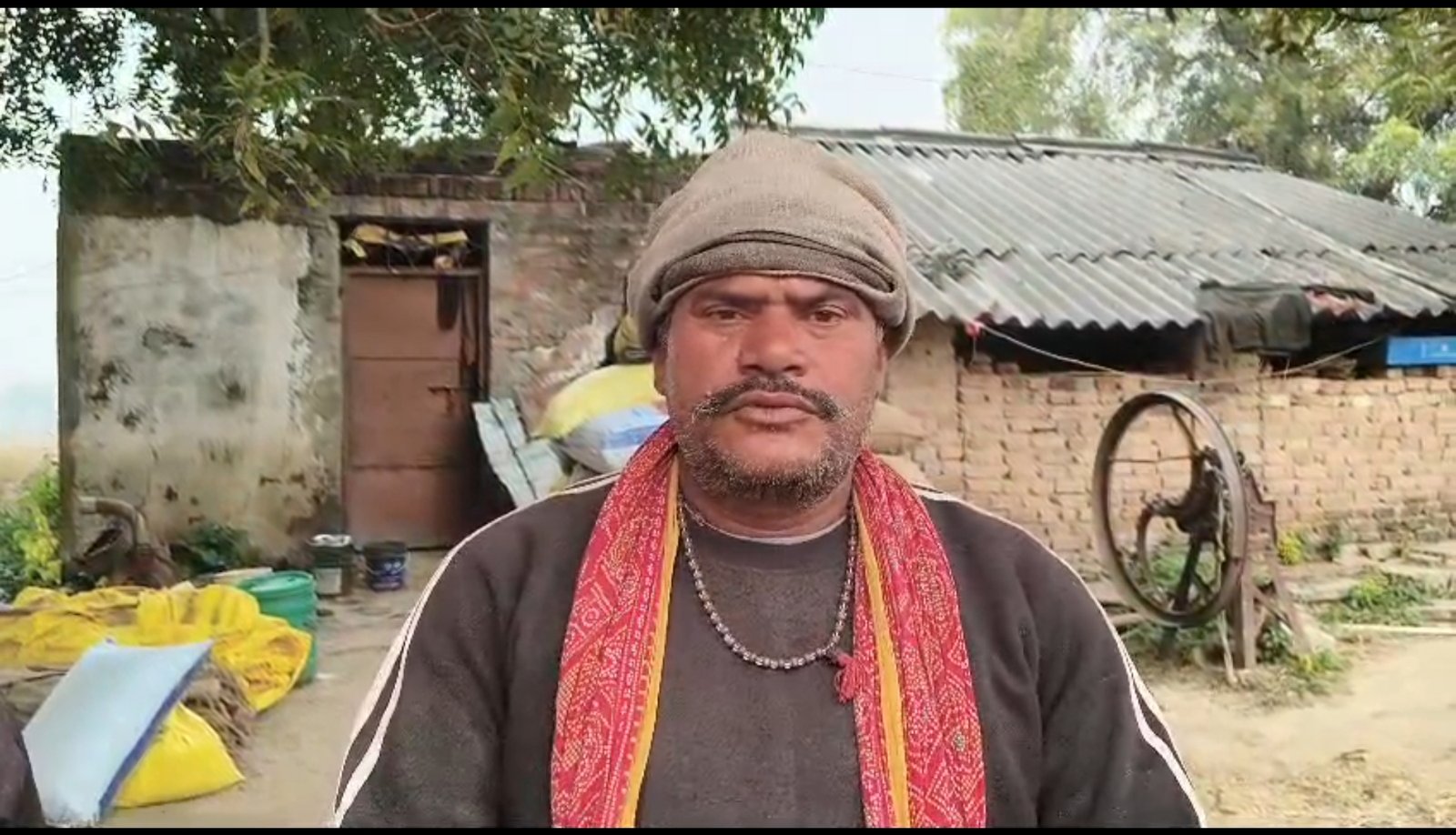 हिंदी समाचार |तीन भैंस और एक गाय चोर ले हुए...