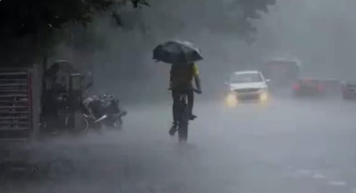 हिंदी समाचार | रिमझिम बारिश लोगों को मिली...
