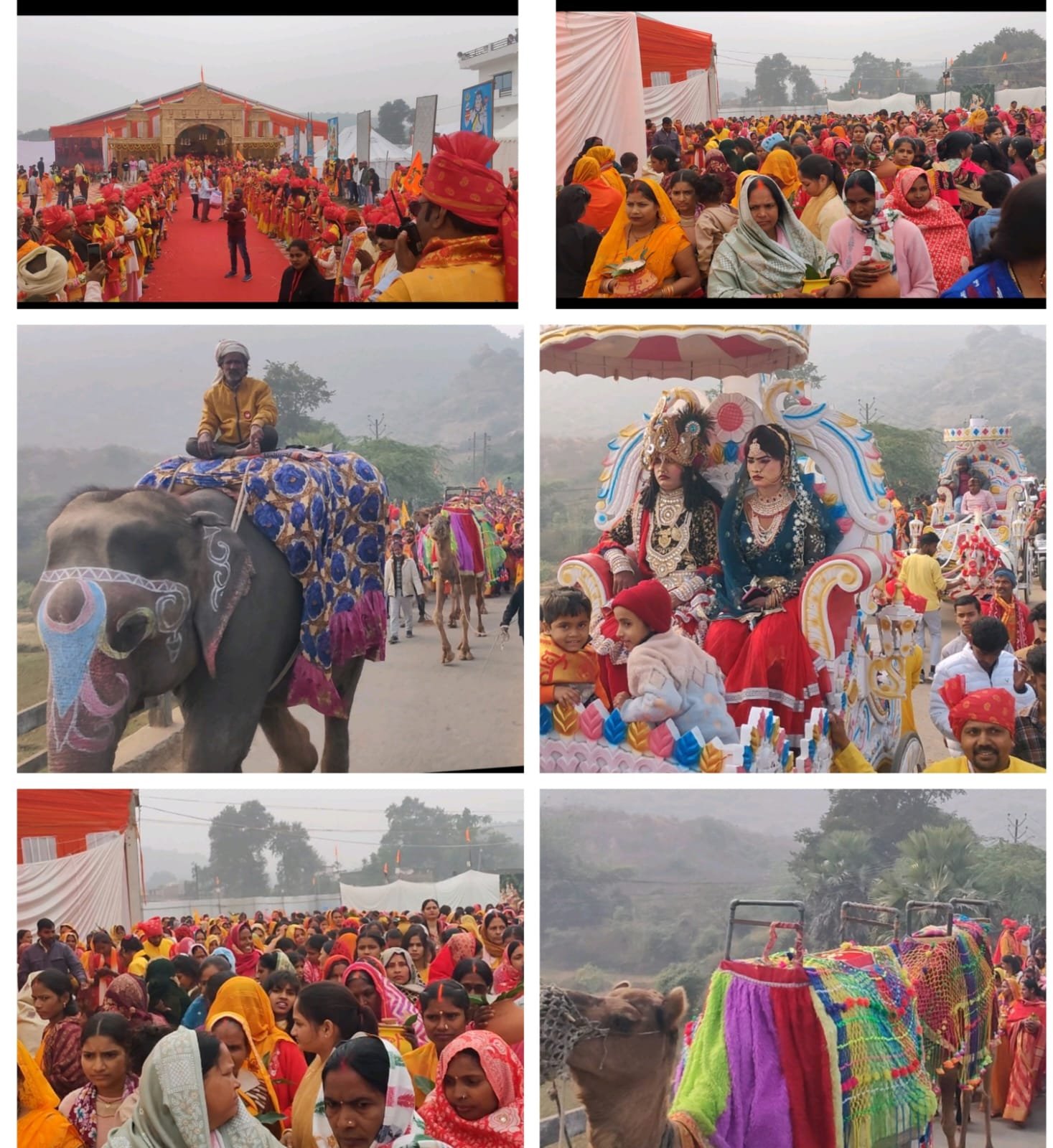 हिंदी समाचार |भव्य कलश यात्रा और...