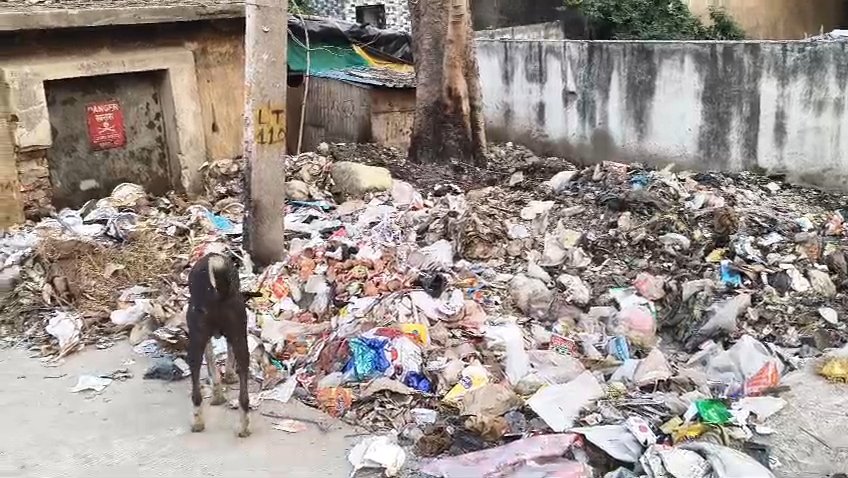 हिंदी समाचार | कुदरा नगर पंचायत के लोगों में...