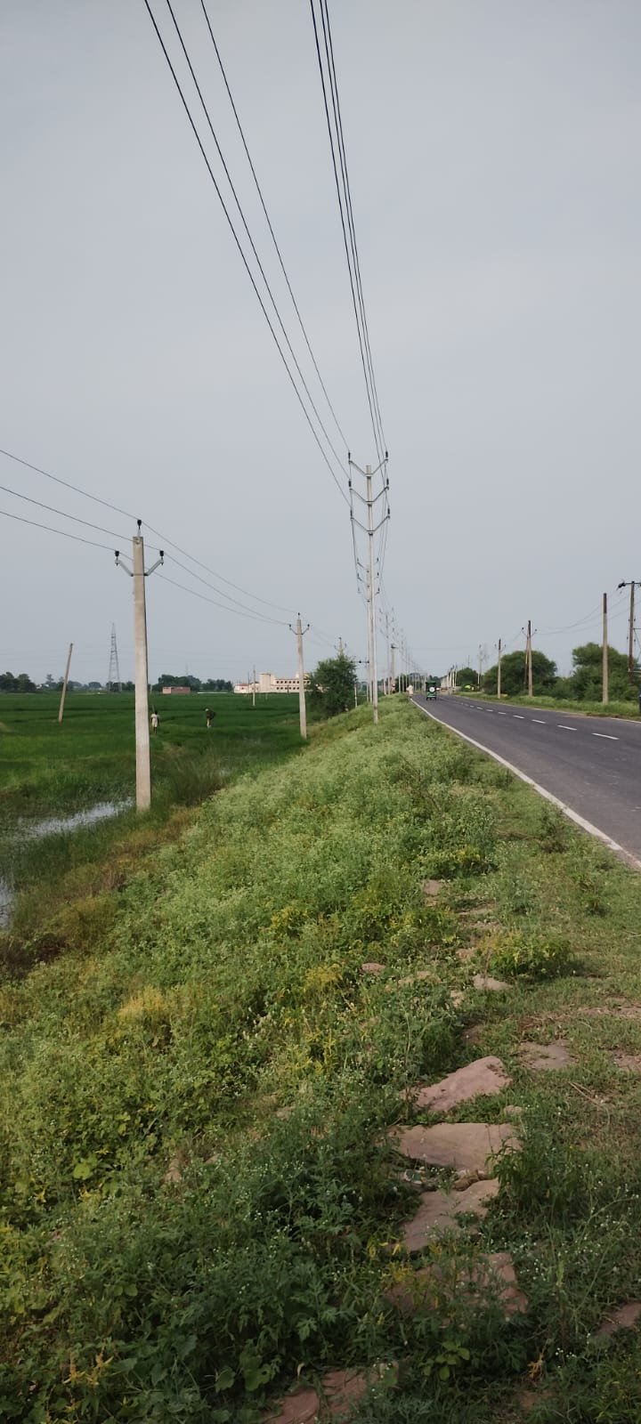 हिंदी समाचार |विद्युत विभाग सड़क मार्ग के...
