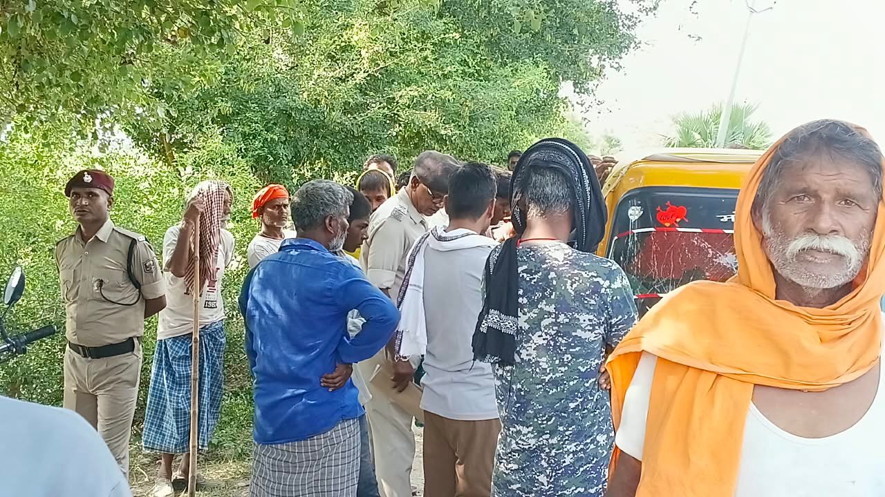 हिंदी समाचार | ट्रेन की चपेट में आने से 14...