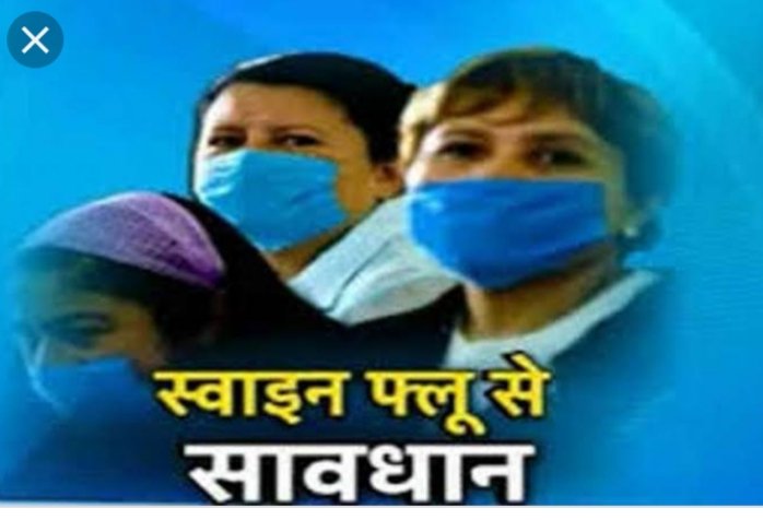 हिंदी समाचार |स्वाइन फ्लू के वायरस से शहर...
