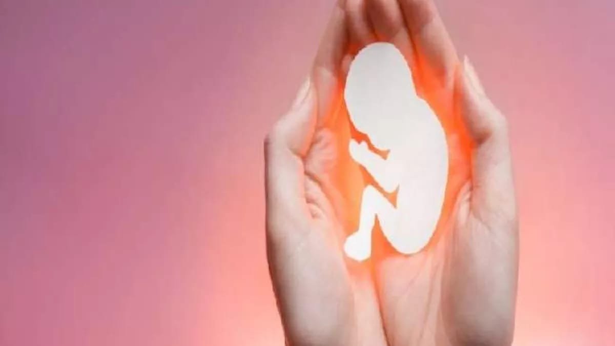 हिंदी समाचार |महिला का जबरन करवाया गर्भपात...