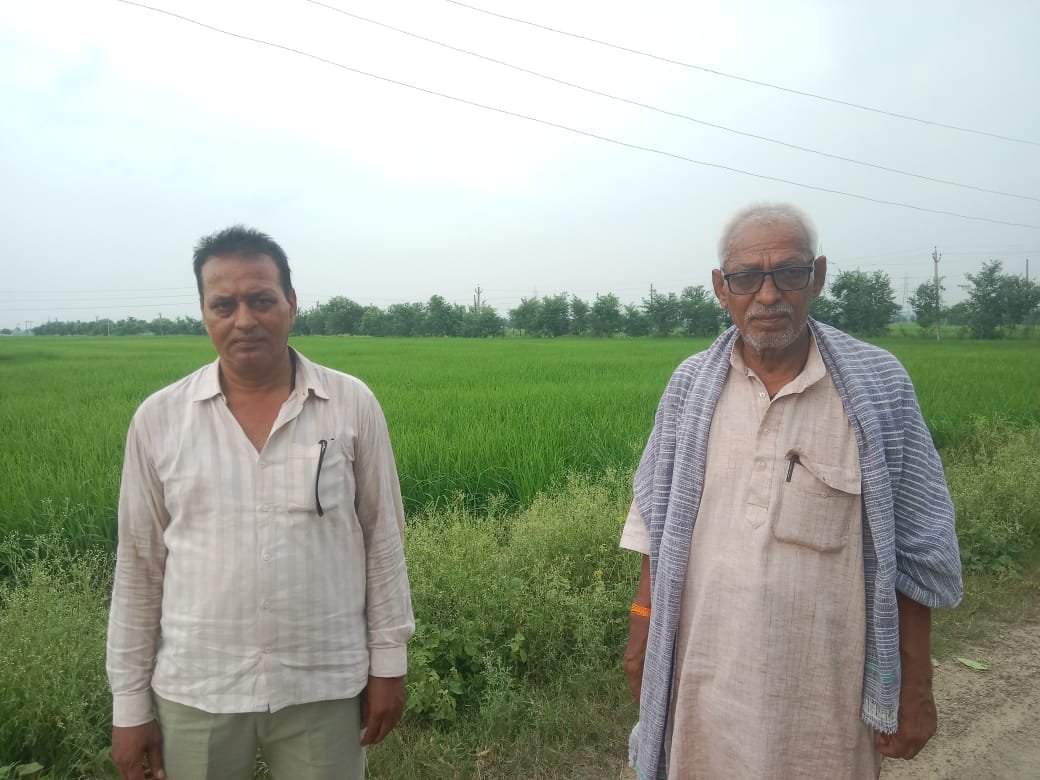 हिंदी समाचार |राजनैतिक दबाव या आर्थिक लोभ-...