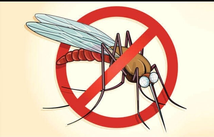 हिंदी समाचार |डेंगू के लक्षण दिखने पर...