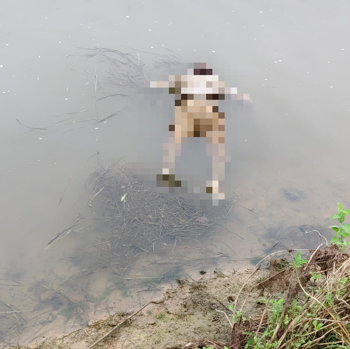 हिंदी समाचार | 48 वर्षीय व्यक्ति की नदी से शव...