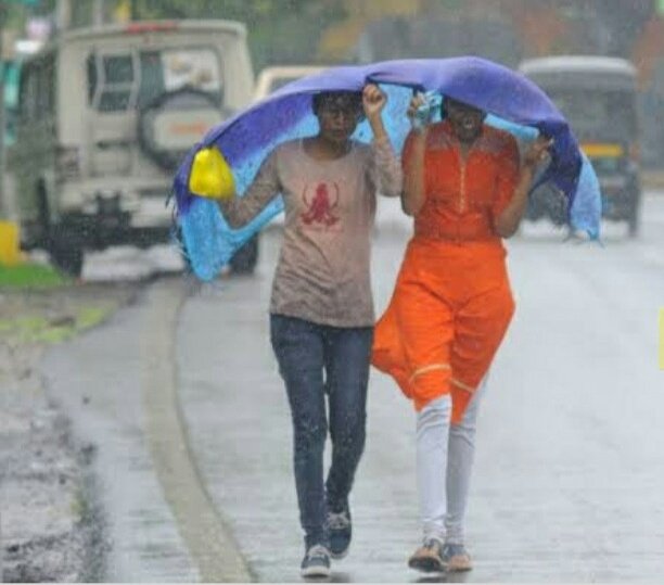 हिंदी समाचार |बरसात का सिलसिला अभी रहेगा...