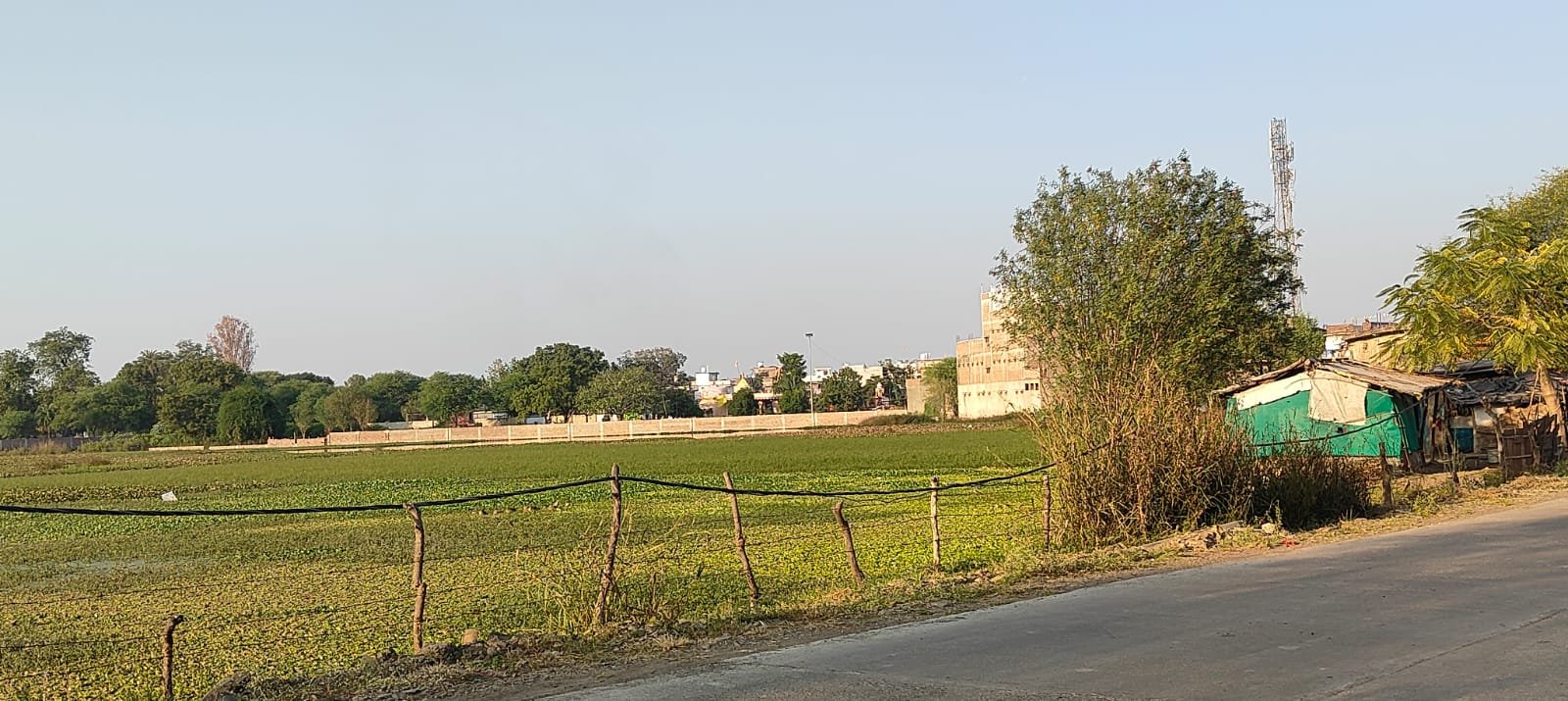 हिंदी समाचार |झुलते बिजली की केबल दे रही है...