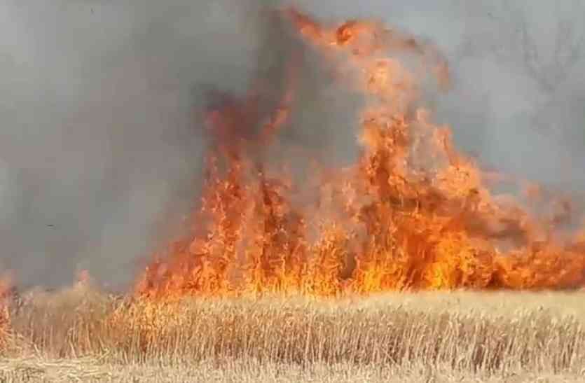 हिंदी समाचार |आग की चपेट में आने से 14 बिस्वा...
