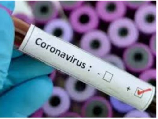 हिंदी समाचार |कोरोना अपडेट : संक्रमितों की...
