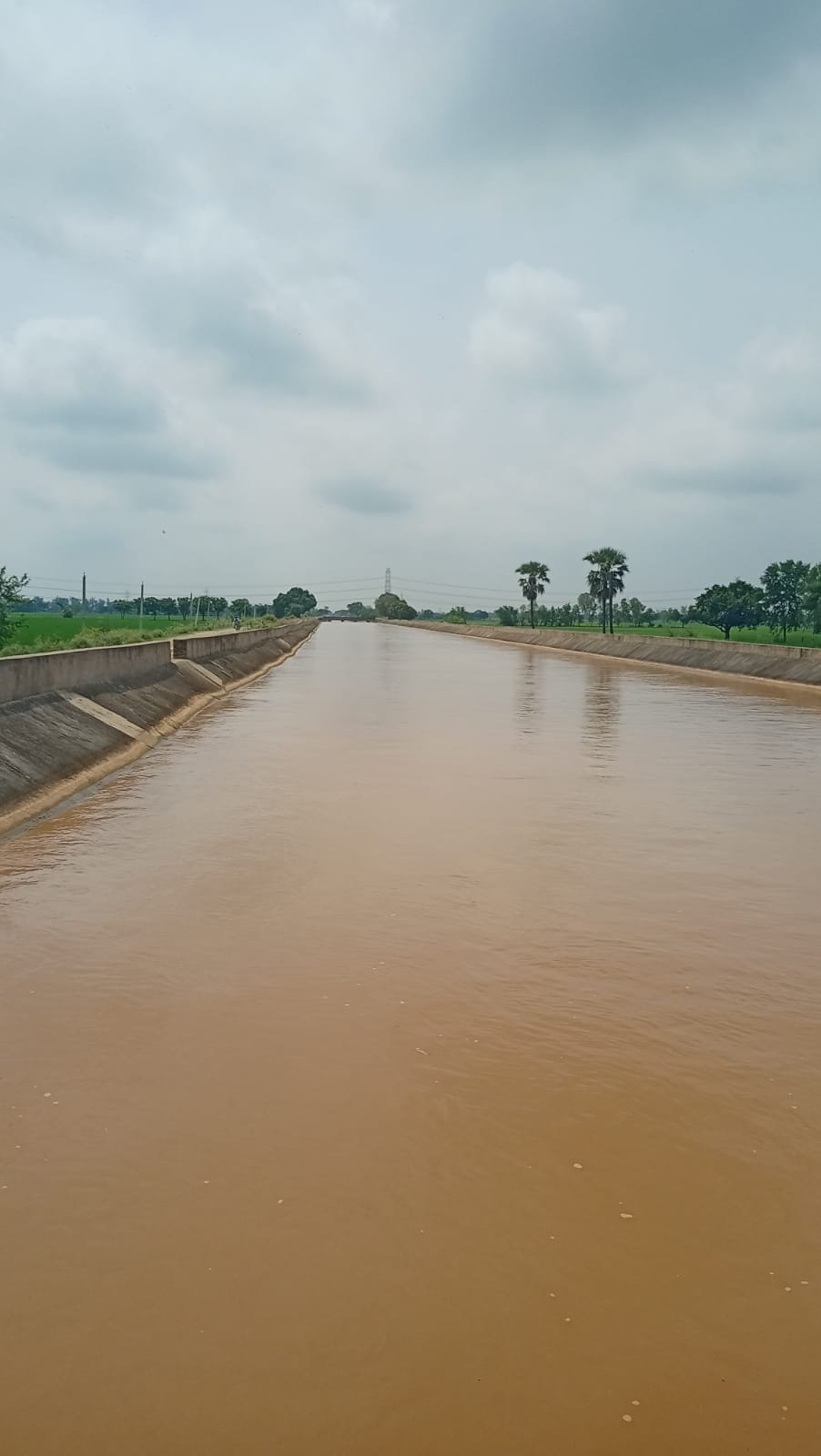 हिंदी समाचार |4065 हेक्टेयर क्षेत्रफल में...