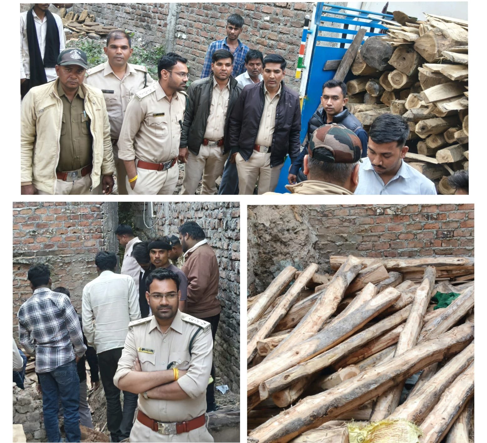 हिंदी समाचार | मीडिया की जानकारी पर वन विभाग...