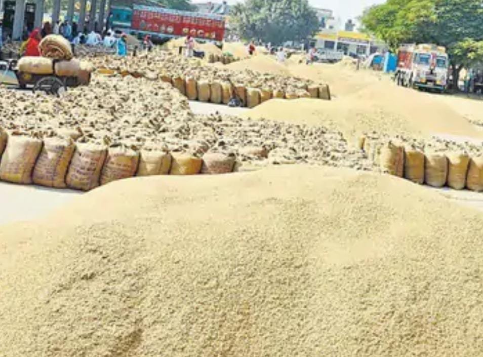 हिंदी समाचार |किसानों का शोषण चरम पर