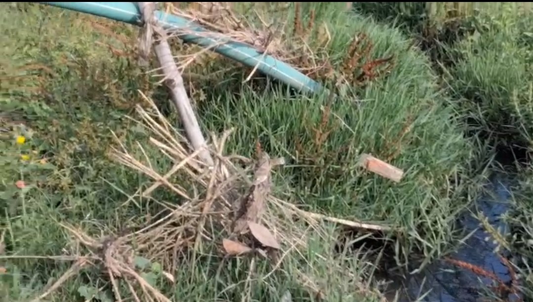 हिंदी समाचार | नल-जल योजना ठप, पानी के लिए तरस...