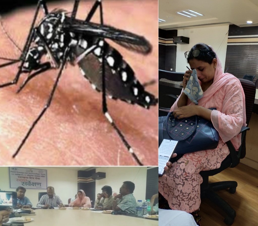 हिंदी समाचार |भिवंडी में डेंगू का 