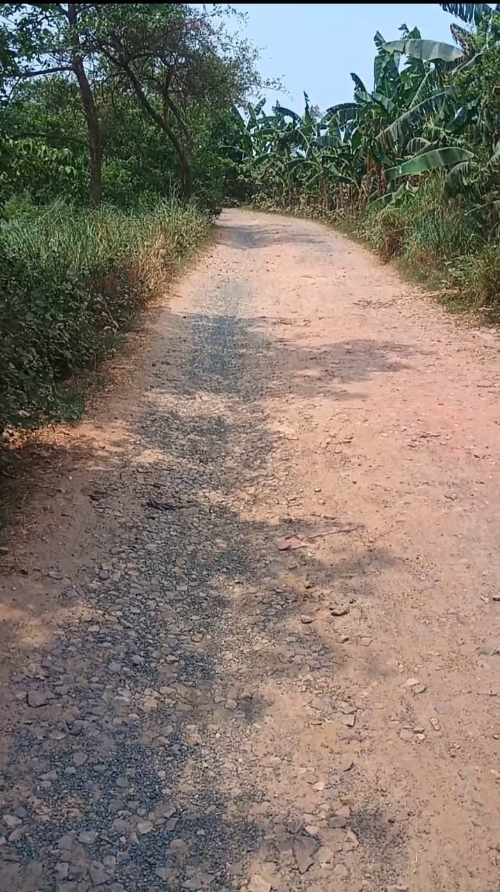 हिंदी समाचार |सरकारें बदलती हैं, मंत्री...