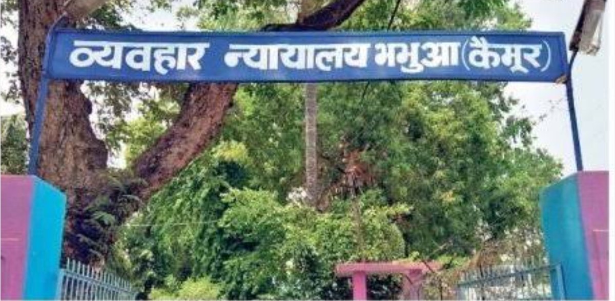 हिंदी समाचार |गांजे के कारोबारी को अदालत ने...