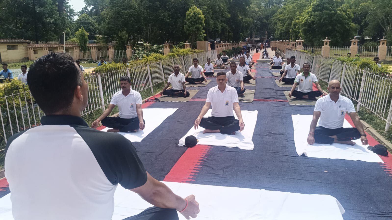 हिंदी समाचार | 80 फीट बुद्ध प्रतिमा के...
