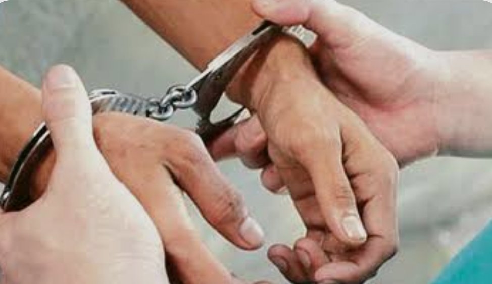 हिंदी समाचार | एक वारंटी एक केस का अभियुक्त...