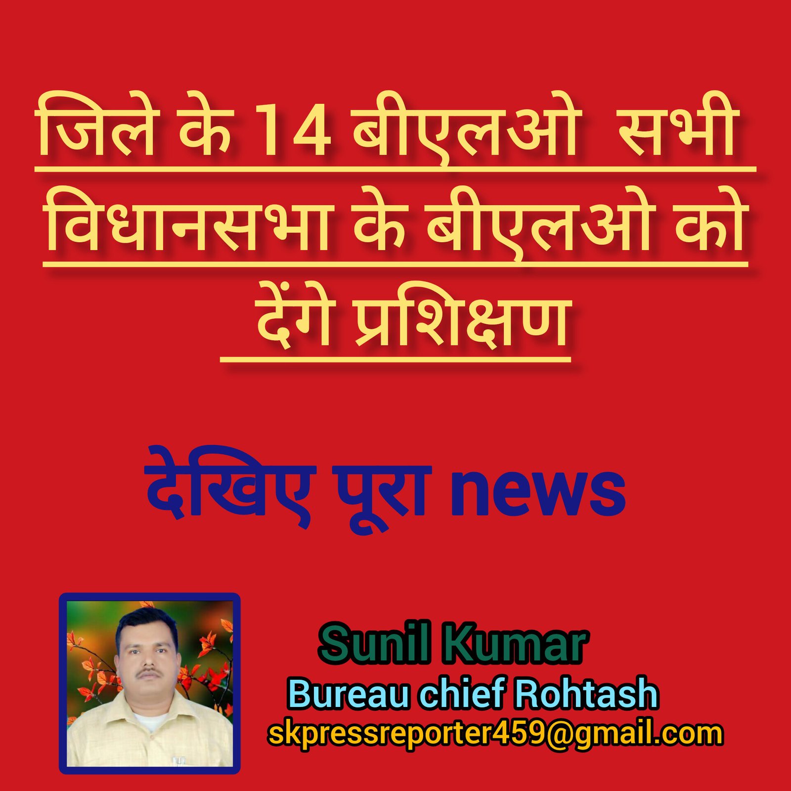 हिंदी समाचार |जिले के 14 बीएलओ  सभी विधानसभा...