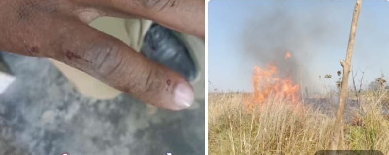 हिंदी समाचार |जंगल में लगी आग से एक झोपड़ी...
