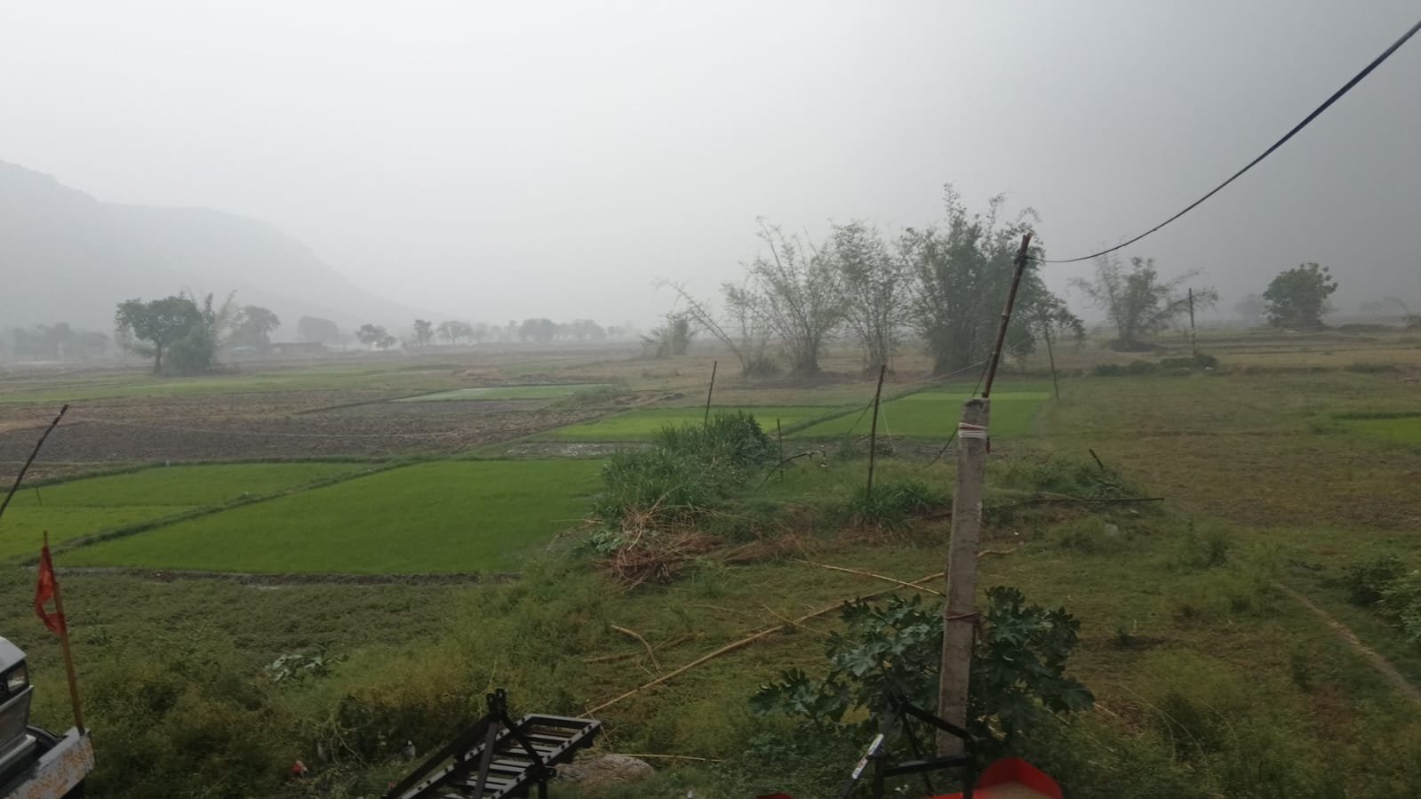 हिंदी समाचार | रामपुर में झमाझम बारिश से...